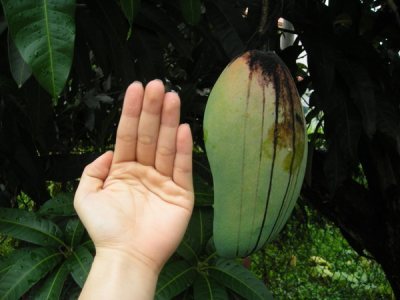 Media_httpx25xangacom_mzbbv