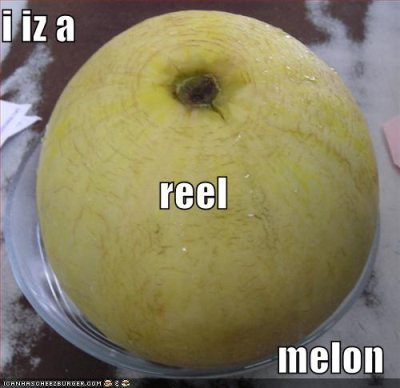 Media_httpx46xangacom_tfffa