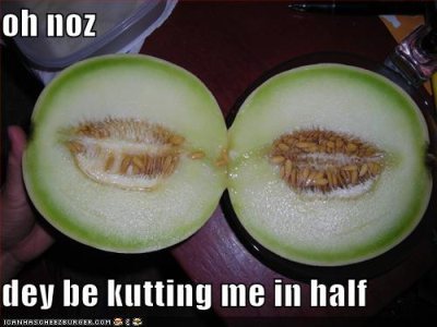 Media_httpx86xangacom_yhmwb