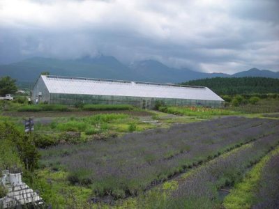 Media_httpx00xangacom_fjpaq