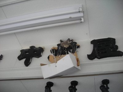 Media_httpx00xangacom_gfbkd