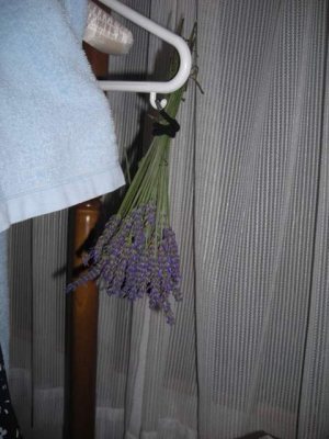 Media_httpx04xangacom_lfbdd