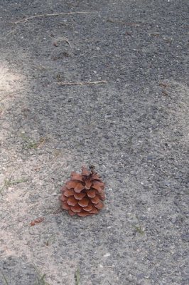 Media_httpx12xangacom_jjsbo