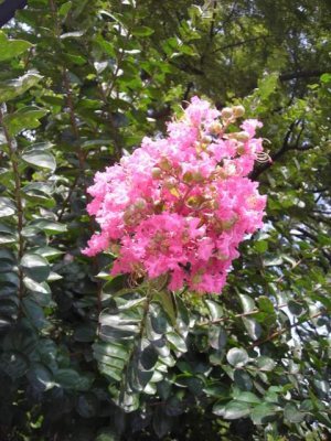 Media_httpx1axangacom_qkujj