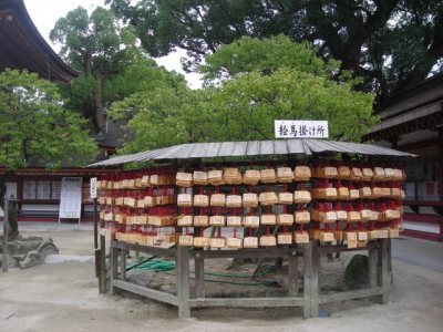 Media_httpx1bxangacom_fmbfz