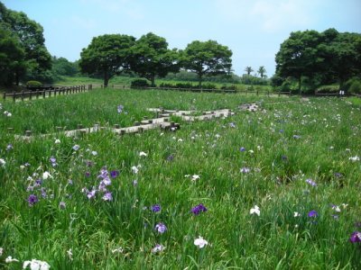 Media_httpx25xangacom_dgdpe