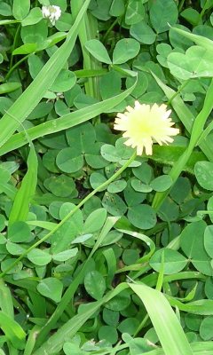 Media_httpx27xangacom_hemib