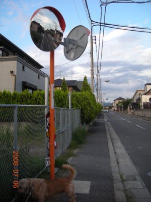 Media_httpx42xangacom_aiiri