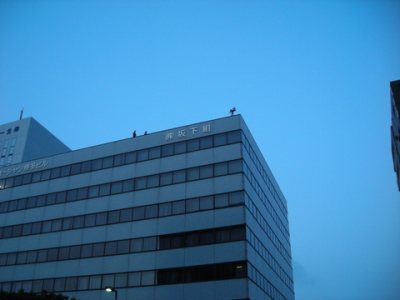 Media_httpx5axangacom_ferow