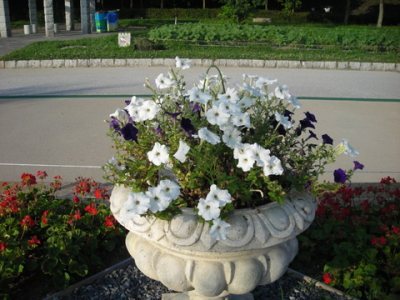 Media_httpx79xangacom_jydmg