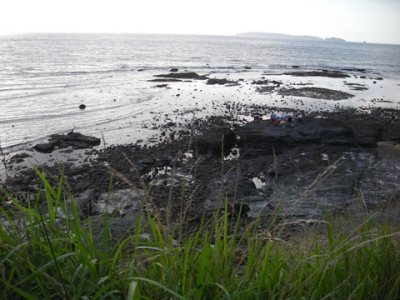 Media_httpx96xangacom_eyneh