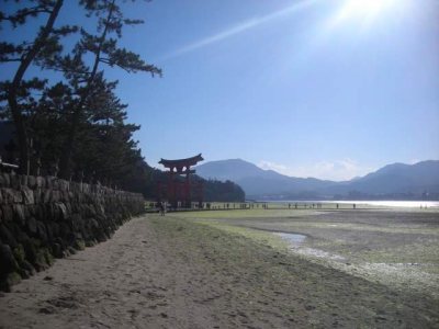 Media_httpxa6xangacom_gaide