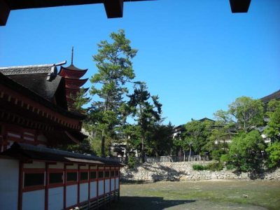 Media_httpxe2xangacom_cyxvj