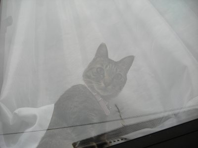 Media_httpxebxangacom_ihnph