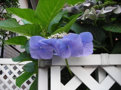 Media_httpxebxangacom_uycfb