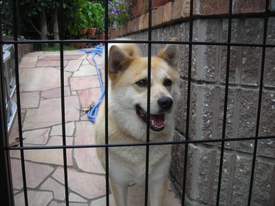 Media_httpxfaxangacom_bjuzs