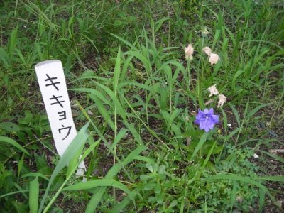 Media_httpx26xangacom_yhdee