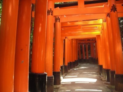 Media_httpx45xangacom_fhrwf