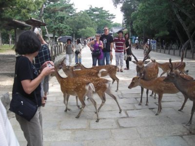 Media_httpx72xangacom_txjxb