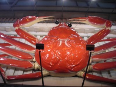 Media_httpx78xangacom_nonap