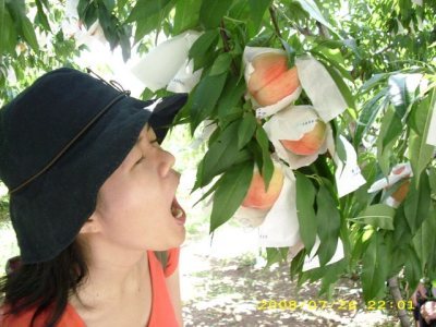 Media_httpx93xangacom_kchdr