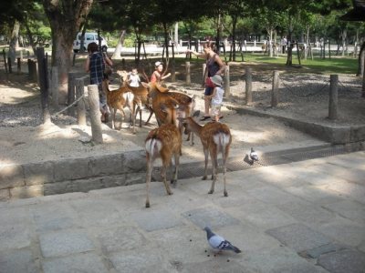 Media_httpxb3xangacom_cjgkz