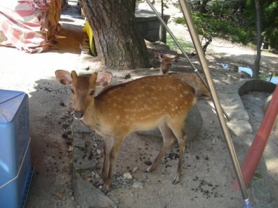 Media_httpxc6xangacom_giydb