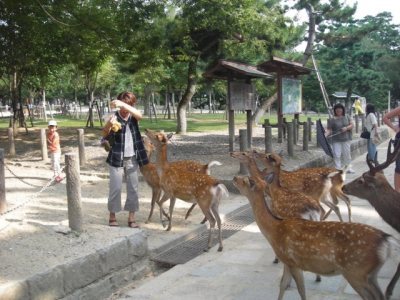 Media_httpxf5xangacom_cbcgd