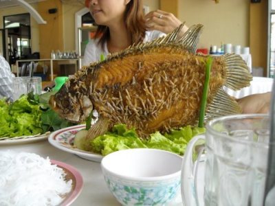 Media_httpx3axangacom_ojjog