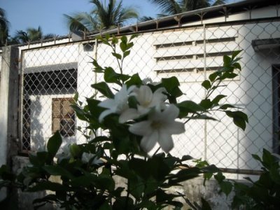 Media_httpx61xangacom_ffmhc