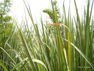 Media_httpxa6xangacom_mtpwi