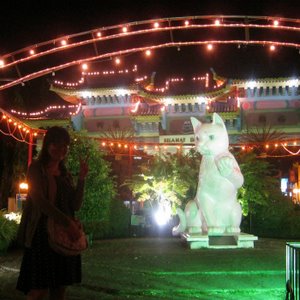 11_kuching_cat-1