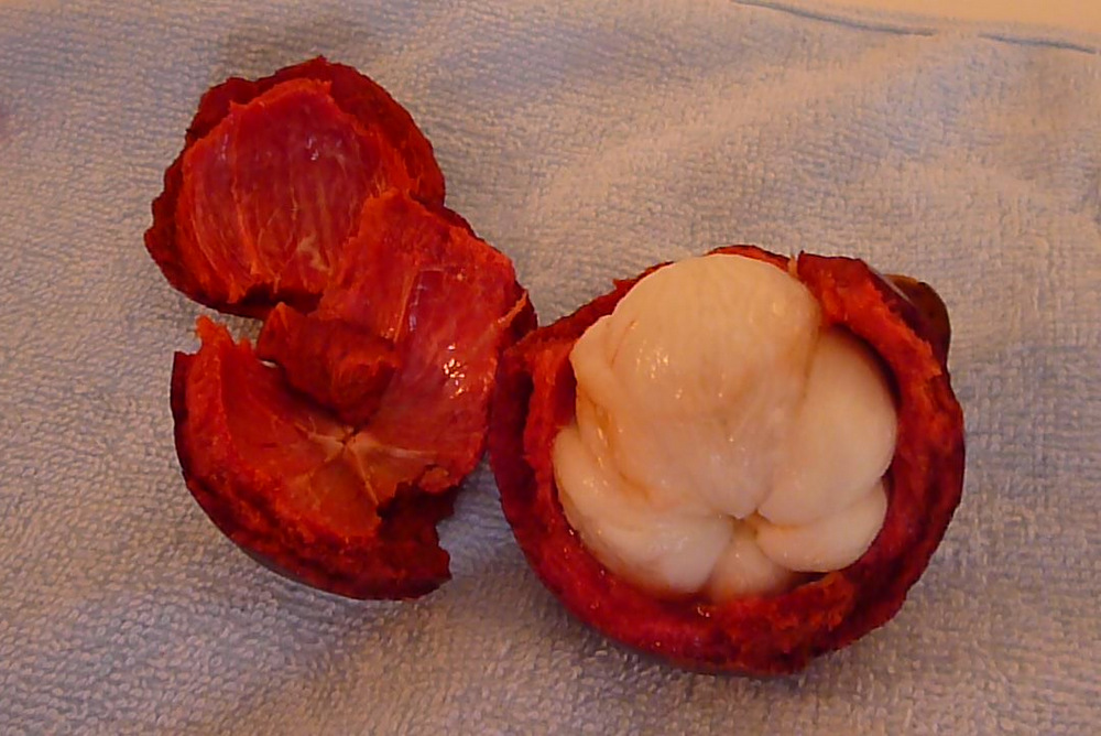 how to peel a mangosteen