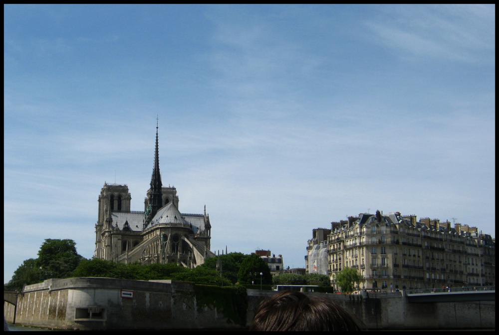 View of Notre Dame from Paris Batobus Boat