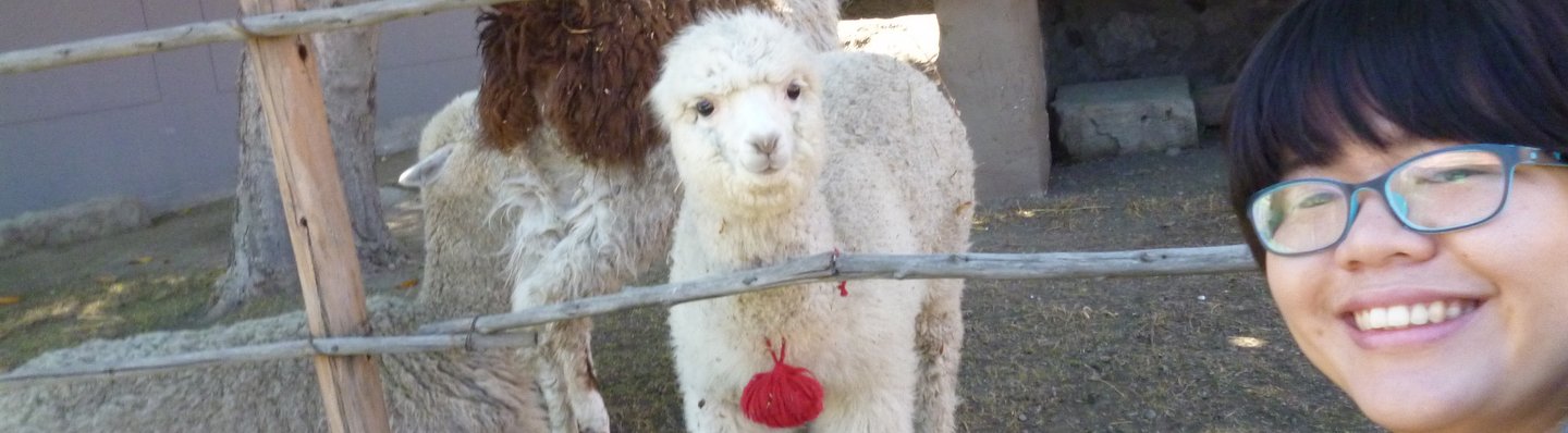 YQ posing with alpaca