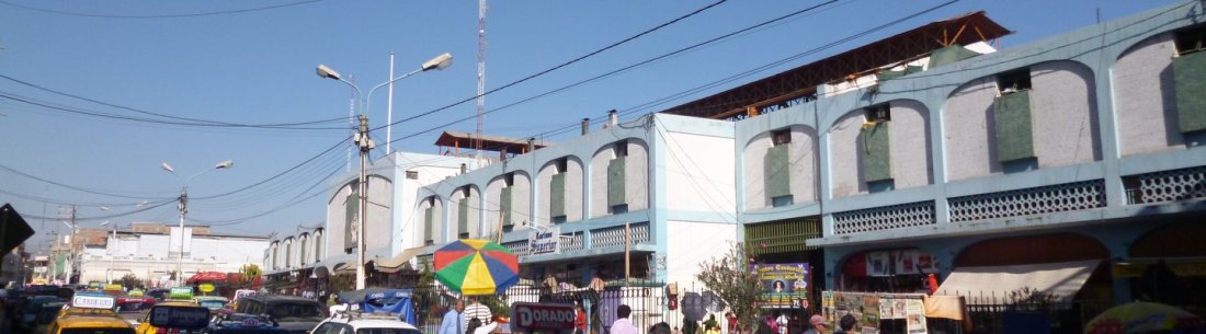 san camilo market