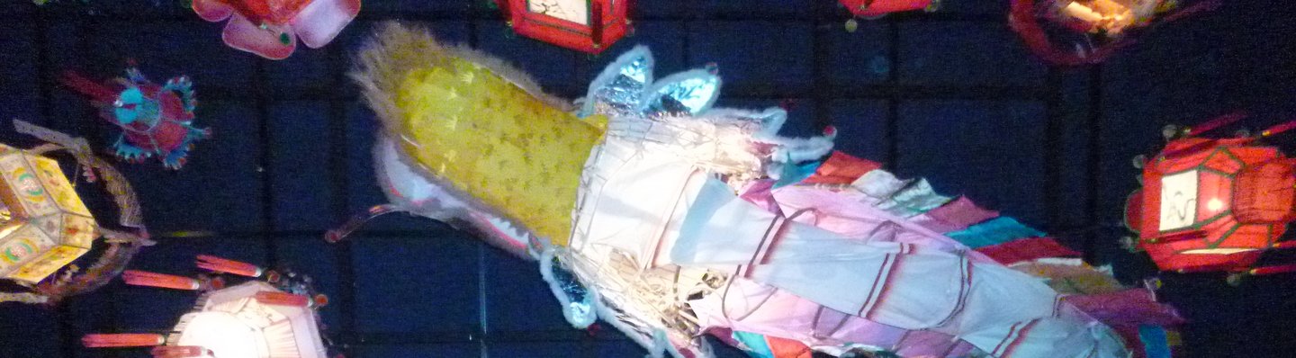 dragon at hk museum