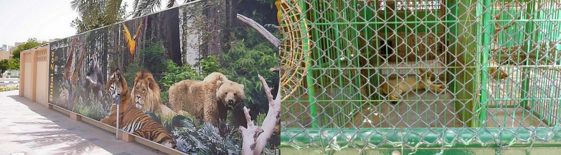 zoo in dubai